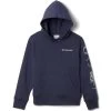 COLUMBIA Kids' Basin Park Graphic Hoodie