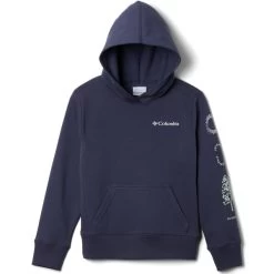 COLUMBIA Kids' Basin Park Graphic Hoodie