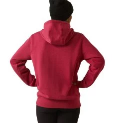 'Ariat' Women's Rebar Graphic Hoodie - Cherries Jubilee Heather / Key -WinterWanderlust Adventures S23 WMS WORK 10043364 back 1024x1024@2x