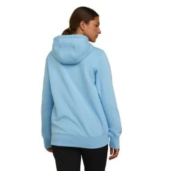 'Ariat' Women's Rebar Graphic Hoodie - Dutch Canal Heather -WinterWanderlust Adventures S23 WMS WORK 10043365 back 1024x1024@2x