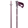 Salomon Angel S3 Ski Poles - Fig 2 Salomon Angel S3 Ski Poles - Fig -WinterWanderlust Adventures salomon12182fig z