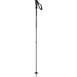 Salomon Arctic Ski Pole - Black
